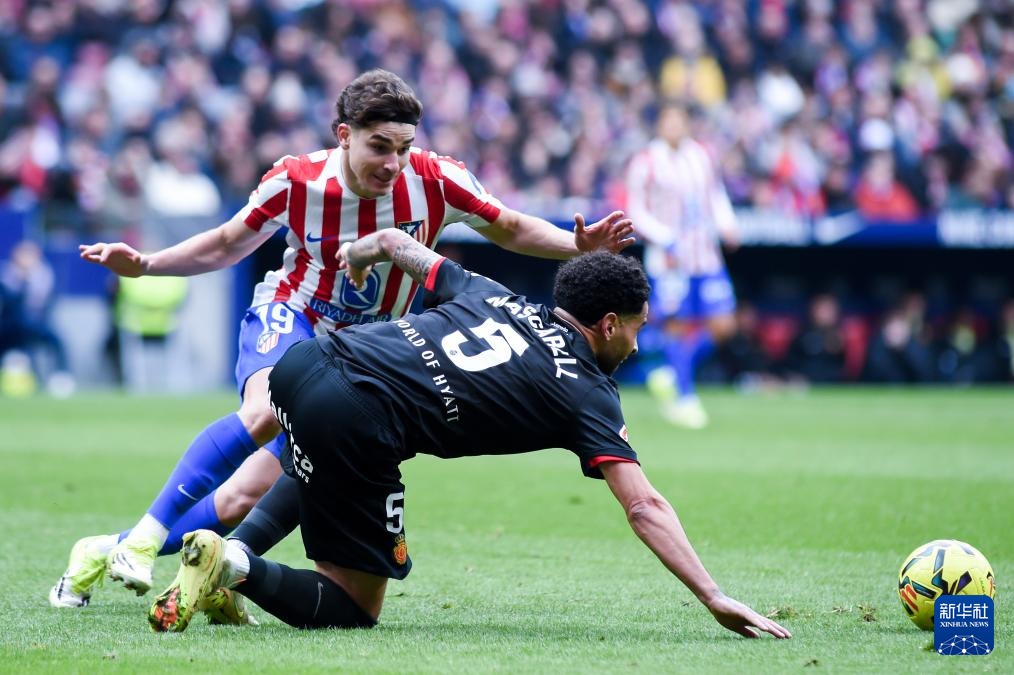 为什么没人敢动科比？